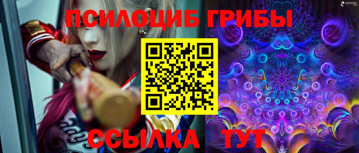 Псилоцибиновые грибы прущие грибы  Вход с VPN  Серпухов 